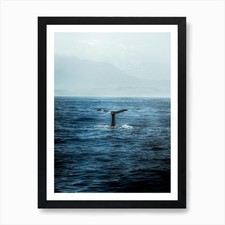 Listing image for Whale Watching In Kaikoura, New Zea Framed Wall Art Poster Canvas Print Picture