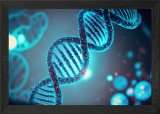 Listing image for Decoding DNA Mysteries Framed Wall Art Poster Canvas Print Picture