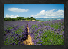 Listing image for Valensole France Framed Wall Art Poster Canvas Print Picture