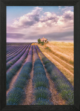 Listing image for Valensole Framed Wall Art Poster Canvas Print Picture