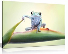 Listing image for So whaddaya say Framed Canvas Print, Pictures for Home Walls Decor