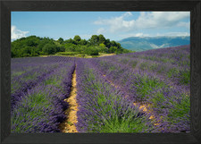 Listing image for Valensole France Framed Wall Art Poster Canvas Print Picture