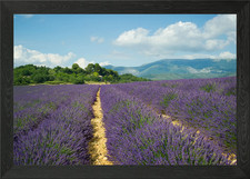 Listing image for Valensole France Framed Wall Art Poster Canvas Print Picture